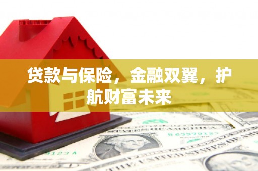 洪雅贷款与保险，金融双翼，护航财富未来