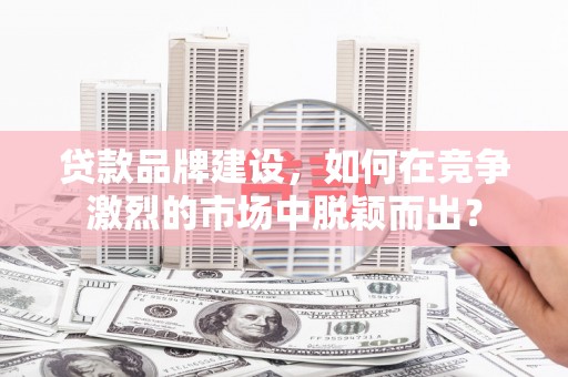 洪雅贷款品牌建设，如何在竞争激烈的市场中脱颖而出？