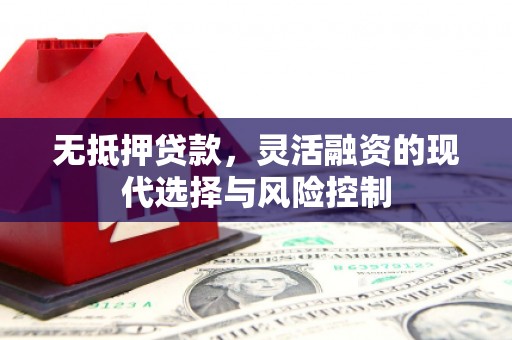 洪雅无抵押贷款，灵活融资的现代选择与风险控制