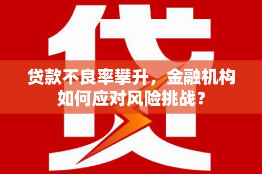 洪雅贷款不良率攀升，金融机构如何应对风险挑战？