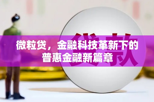 洪雅微粒贷，金融科技革新下的普惠金融新篇章