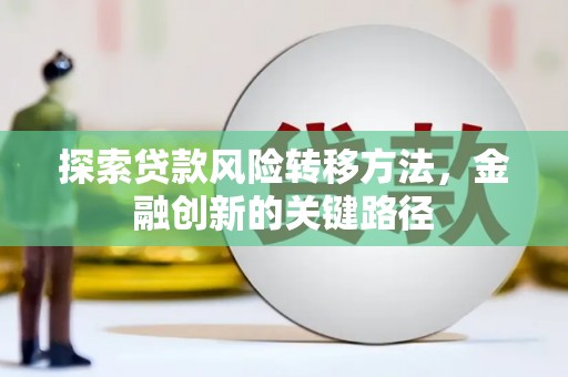 洪雅探索贷款风险转移方法，金融创新的关键路径