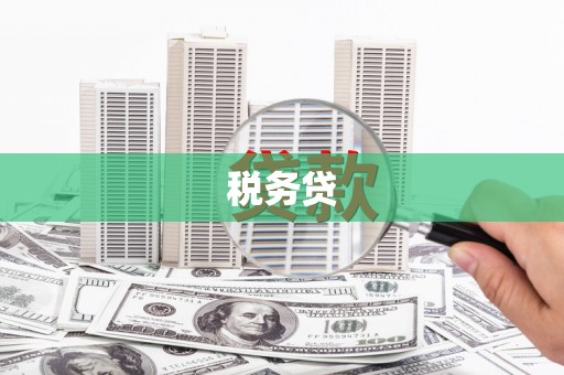 洪雅税务贷