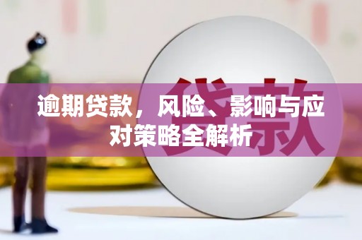 洪雅逾期贷款，风险、影响与应对策略全解析