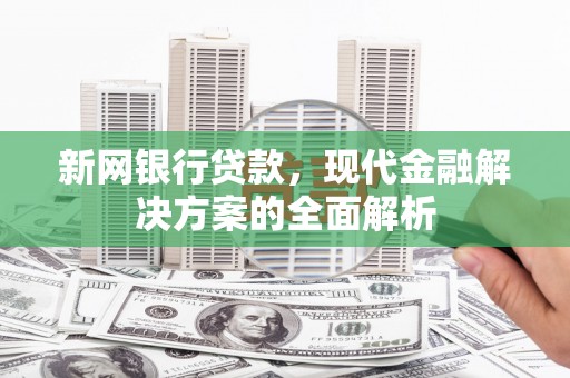 洪雅新网银行贷款，现代金融解决方案的全面解析