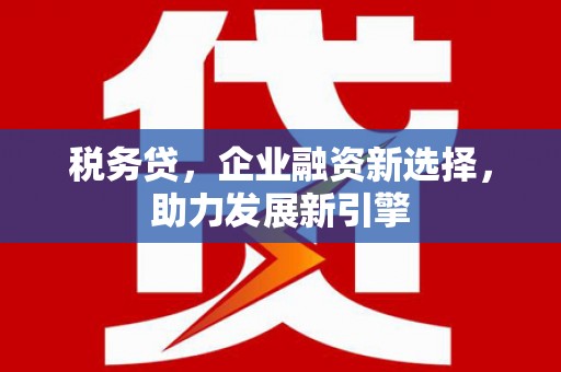洪雅税务贷，企业融资新选择，助力发展新引擎