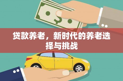 洪雅贷款养老，新时代的养老选择与挑战