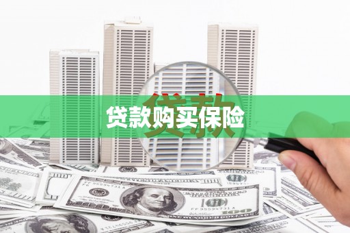 洪雅贷款购买保险