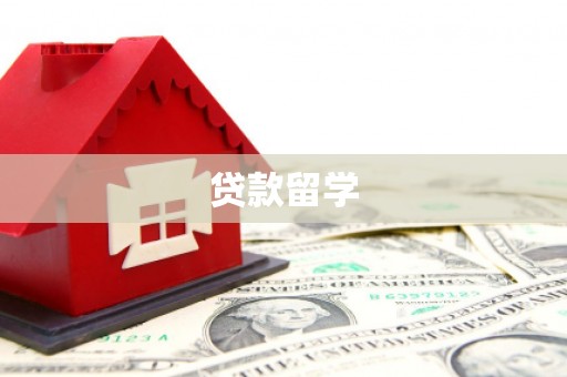 洪雅贷款留学