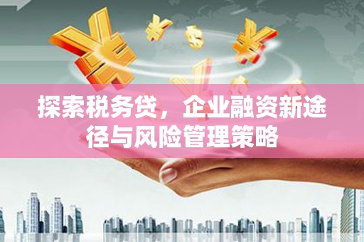 洪雅探索税务贷，企业融资新途径与风险管理策略