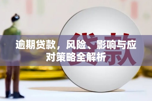 洪雅逾期贷款，风险、影响与应对策略全解析