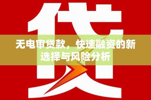 洪雅无电审贷款，快速融资的新选择与风险分析