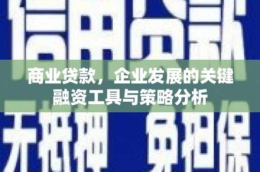 洪雅商业贷款，企业发展的关键融资工具与策略分析