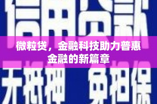 洪雅微粒贷，金融科技助力普惠金融的新篇章