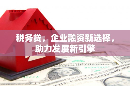 洪雅税务贷，企业融资新选择，助力发展新引擎