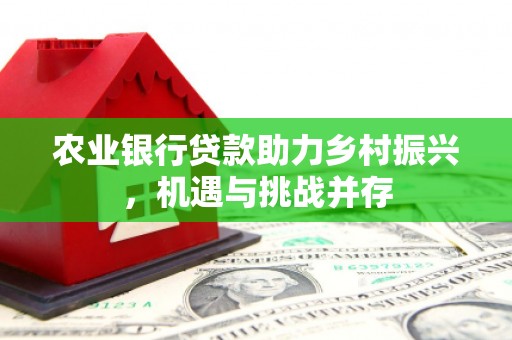 洪雅农业银行贷款助力乡村振兴，机遇与挑战并存