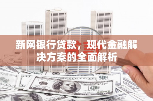 洪雅新网银行贷款，现代金融解决方案的全面解析