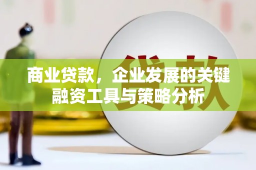 洪雅商业贷款，企业发展的关键融资工具与策略分析