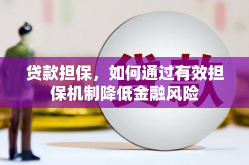 洪雅贷款担保，如何通过有效担保机制降低金融风险