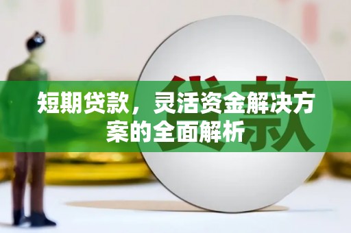 洪雅短期贷款，灵活资金解决方案的全面解析