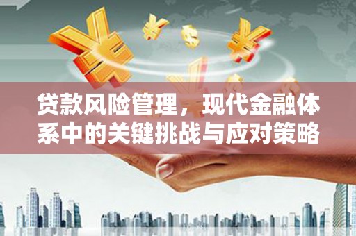 洪雅贷款风险管理，现代金融体系中的关键挑战与应对策略