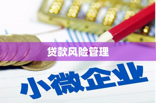 洪雅贷款风险管理