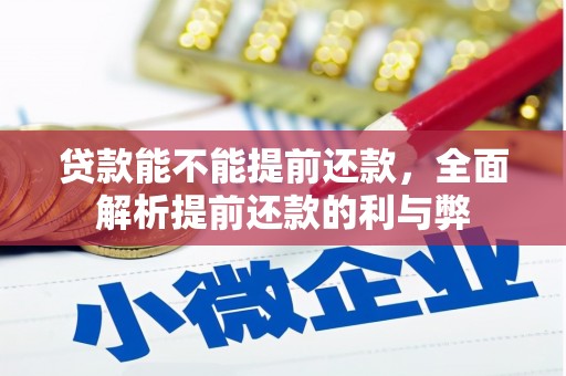 洪雅贷款能不能提前还款，全面解析提前还款的利与弊