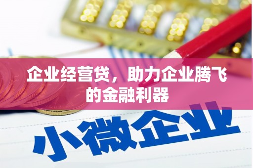 洪雅企业经营贷，助力企业腾飞的金融利器