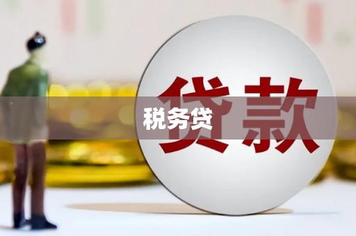 洪雅税务贷
