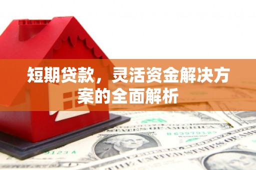 洪雅短期贷款，灵活资金解决方案的全面解析