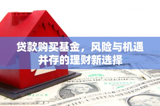 洪雅贷款购买基金，风险与机遇并存的理财新选择