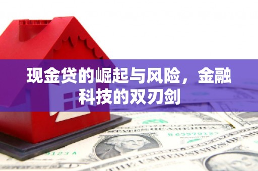 洪雅现金贷的崛起与风险，金融科技的双刃剑