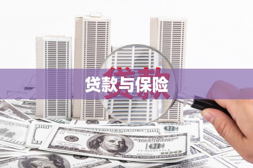 洪雅贷款与保险