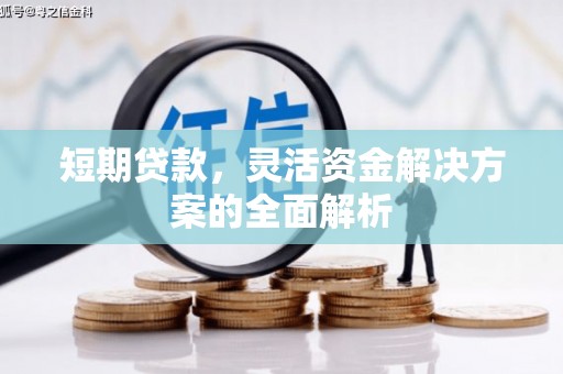 洪雅短期贷款，灵活资金解决方案的全面解析