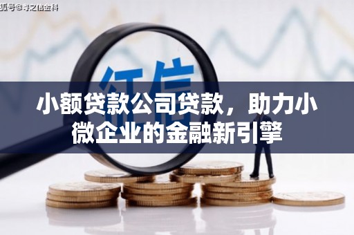 洪雅小额贷款公司贷款，助力小微企业的金融新引擎