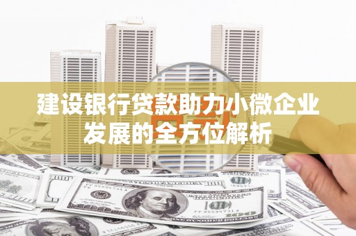 洪雅建设银行贷款助力小微企业发展的全方位解析