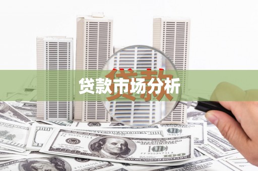 洪雅贷款市场分析
