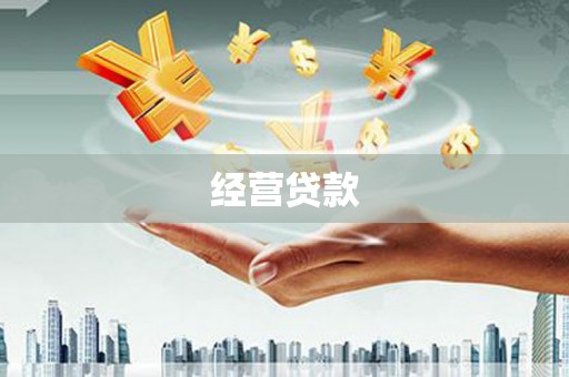 洪雅经营贷款