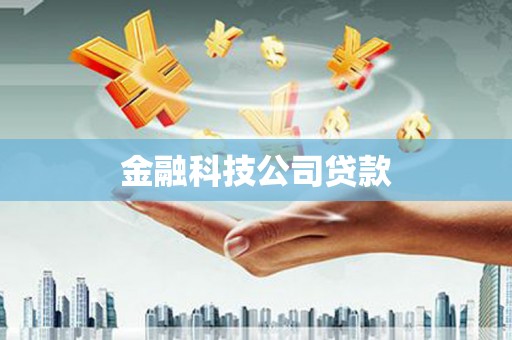 洪雅金融科技公司贷款