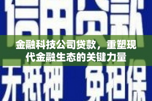 洪雅金融科技公司贷款，重塑现代金融生态的关键力量