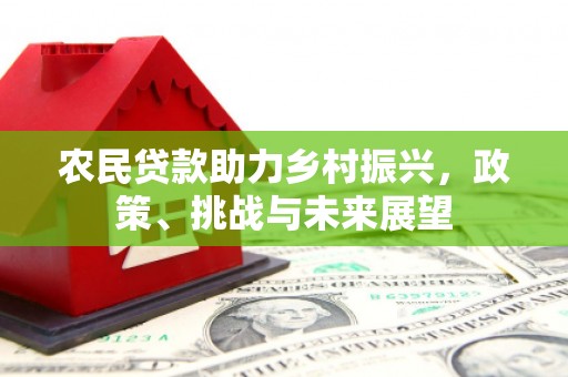 洪雅农民贷款助力乡村振兴，政策、挑战与未来展望