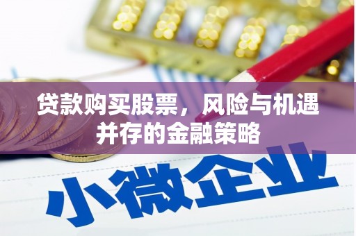 洪雅贷款购买股票，风险与机遇并存的金融策略