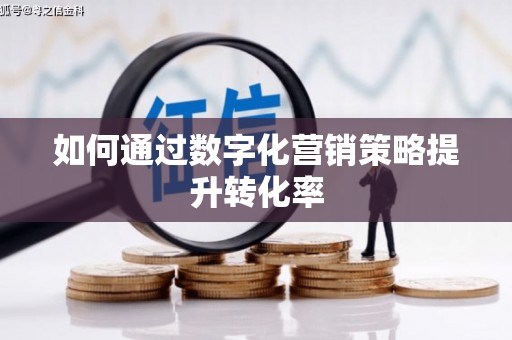 洪雅如何通过数字化营销策略提升转化率