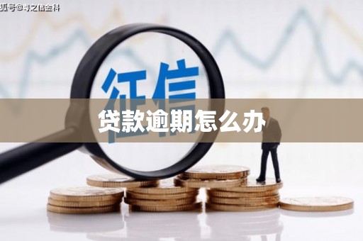 洪雅贷款逾期怎么办