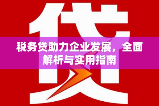 洪雅税务贷助力企业发展，全面解析与实用指南