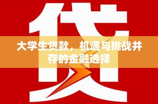洪雅大学生贷款，机遇与挑战并存的金融选择