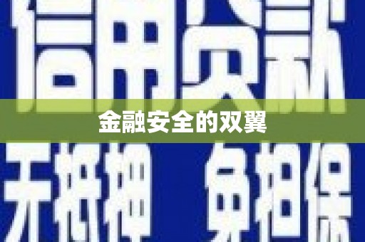 洪雅金融安全的双翼