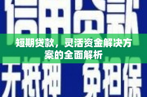 洪雅短期贷款，灵活资金解决方案的全面解析