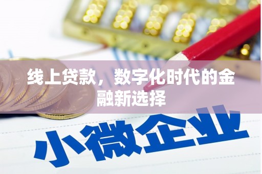洪雅线上贷款，数字化时代的金融新选择