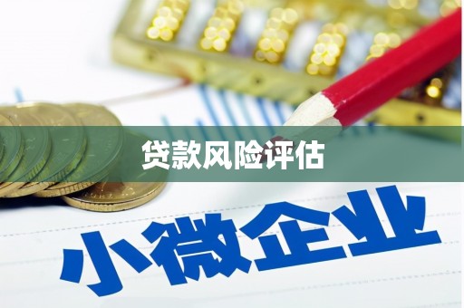 洪雅贷款风险评估